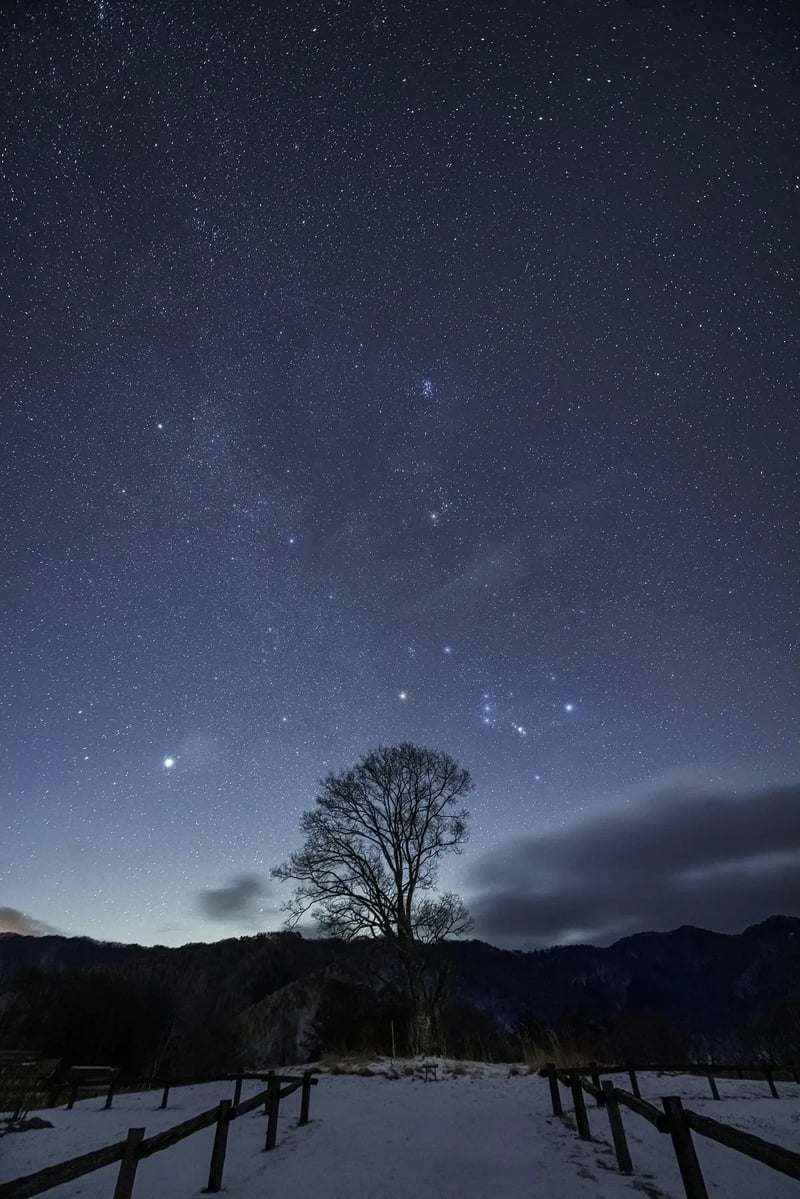 そら様ご確認ページ SNOW（雪） と SORA（宙） が出会う場所 —— 長野の「天」と「地」の